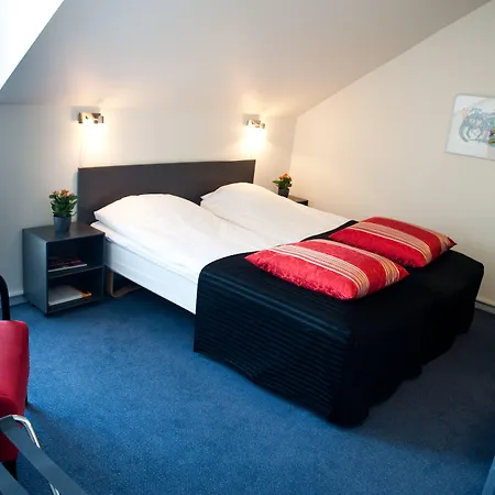 Отель Vejlsohus And Conference Center 3*