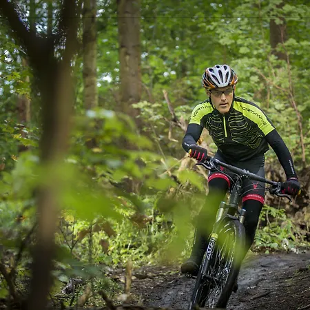 Отель Vejlsohus And Conference Center