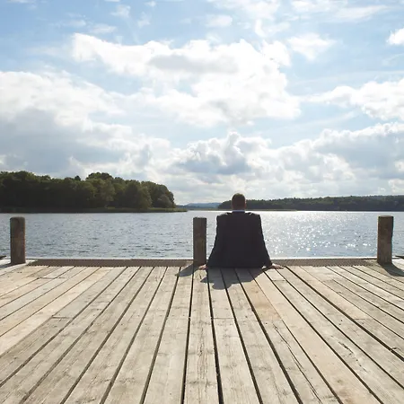 Отель Vejlsohus And Conference Center