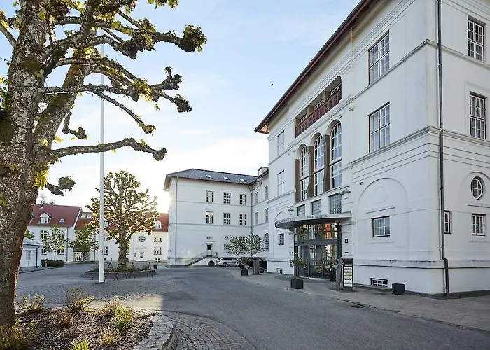 Otel Vejlsohus And Conference Center 3*