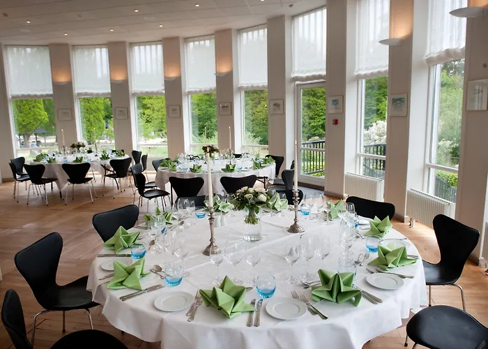 Otel Vejlsohus And Conference Center 3*