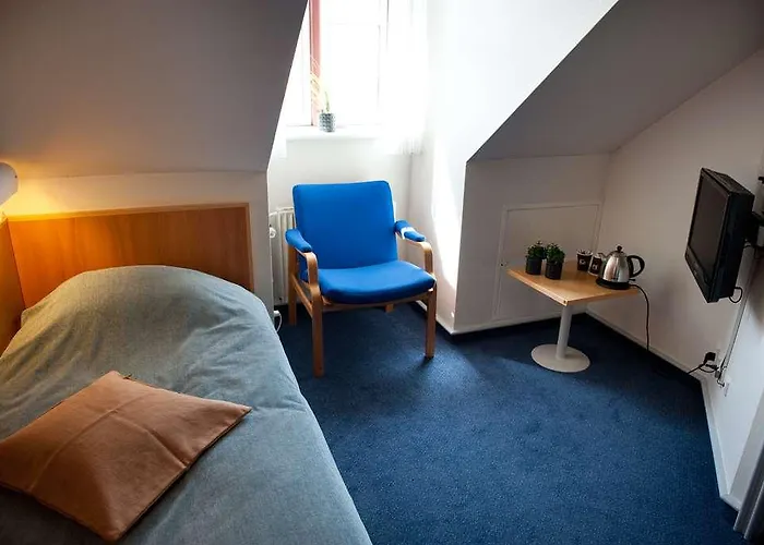 Otel Vejlsohus And Conference Center 3*